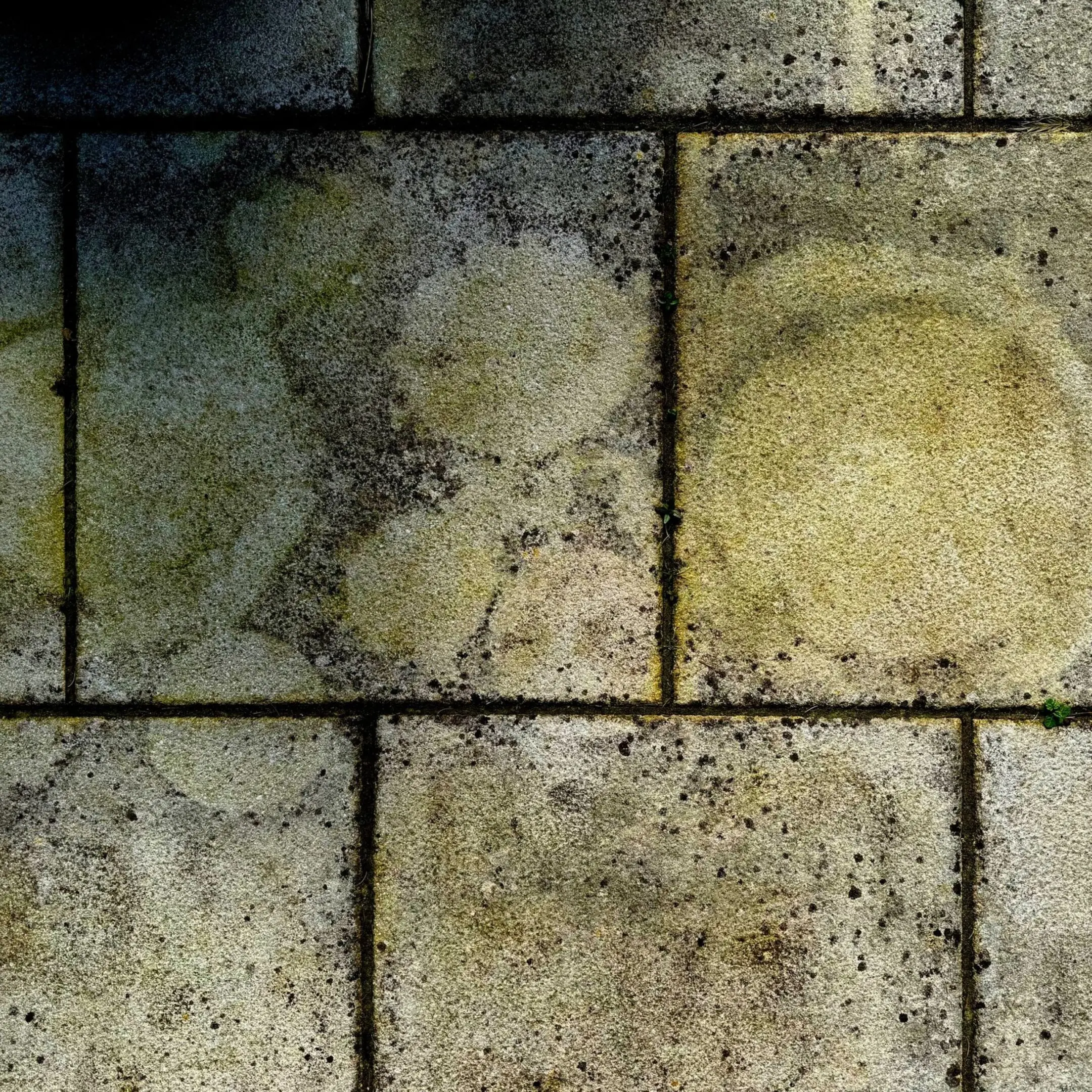 Weathered stone tiles with circular stains.