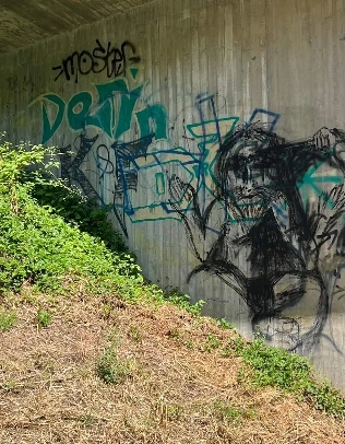 Graffiti on concrete wall near overgrown grass.